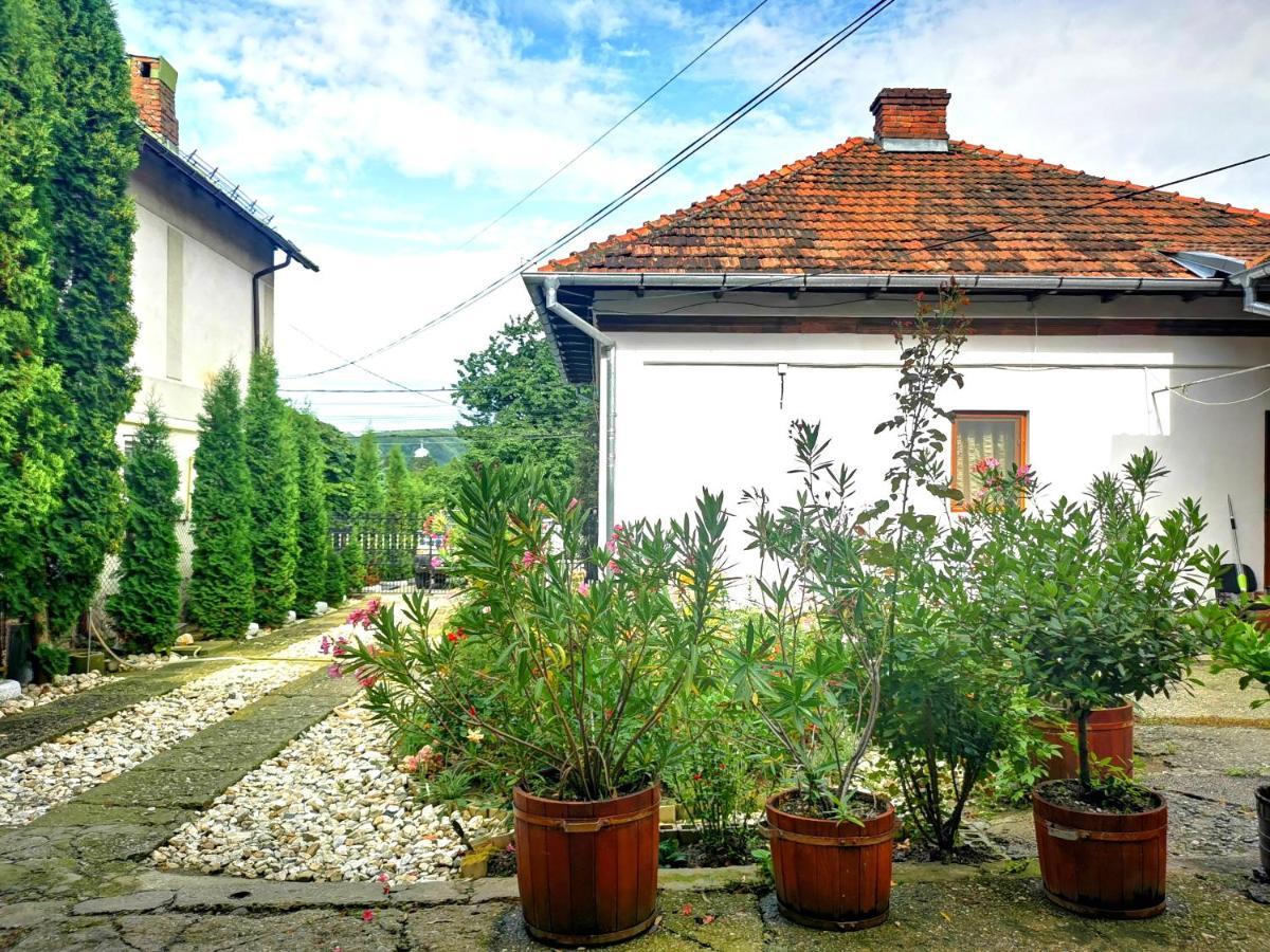 Casa Petrescu Villa Curtea de Argeş Eksteriør billede