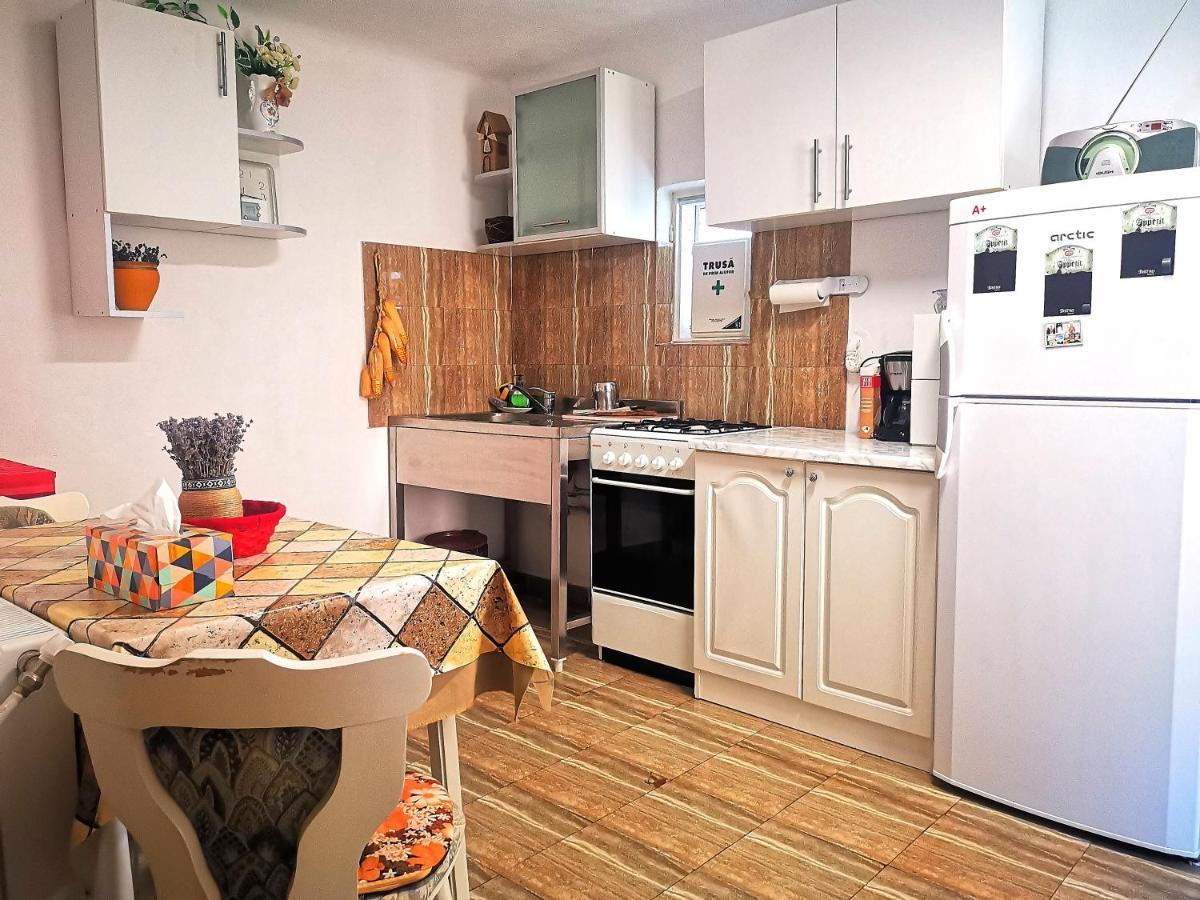 Casa Petrescu Villa Curtea de Argeş Eksteriør billede